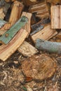 Wooden logs lie on the ground near the trunk of a sawn tree. Logging industry. Harvesting firewood for the winter.