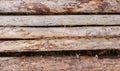 Wooden logs lie horizontally on the ground in one row, side view or frome above. Perspective view of peeled logs