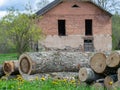 Wooden logs of pine woods in the forest, stacked in a pile, cross section of log shows sapwood, bark in round shape