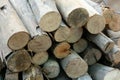 Wooden logs stack, tree stumps background