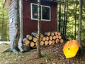Wooden logs stacked against a tiny rustic cabin with an orange kayak lying beside it.