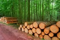 Wooden logs stacked in Harz mountains Germany Royalty Free Stock Photo