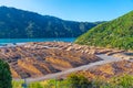 Wooden logs stored at port of Picton, New Zealand