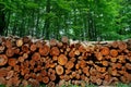 Wooden logs timber stacked in Harz Germany Royalty Free Stock Photo