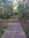 Wooden lonely path in fall Royalty Free Stock Photo