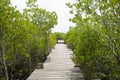 Wooden long brigde pathway for people and traveler visit and loo