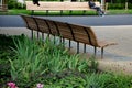 Wooden long park bench with curved backrest anatomical wooden cladding made of light wood on the ground light beige gravel, which