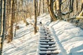 Wooden long stairs in snow Royalty Free Stock Photo