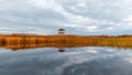 wooden lookout tower, golden hour in swamp lake