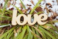 Wooden love sign outdoor on the ground with green grass and snow Royalty Free Stock Photo