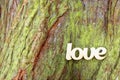 Wooden Love Sign On Tree Trunk Background