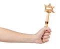 Wooden mace, medieval weapon. Decoration souvenir. Isolated