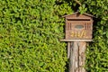 Mailbox in Bush Fence