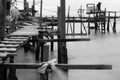 Wooden makeshift bridge - Black and white, monochrome, design architecture