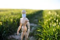 Wooden Mannequin With Face Mask In Nature, Corona Virus And Lockdown Concept.