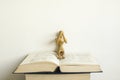 Wooden mannequin manikin lie down on open book with his hands on his face and fell under pressure. Royalty Free Stock Photo