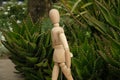 Wooden mannequin in the midst of aloe vera plants. Mediterranean garden with thorny leaves of succulents and model
