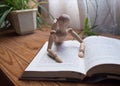 Wooden mannequin reading a book