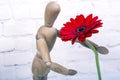 Wooden mannequin with red gerbera flower Royalty Free Stock Photo