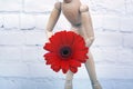 Wooden mannequin with red gerbera flower Royalty Free Stock Photo