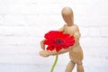 Wooden mannequin with red gerbera flower Royalty Free Stock Photo