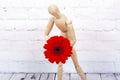 Wooden mannequin with red gerbera flower Royalty Free Stock Photo