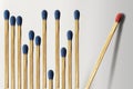 Wooden matches are lined up with a dozen blue matches on the left and one red match isolated and alone Royalty Free Stock Photo