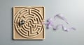 Wooden maze with bird escaping puzzle Royalty Free Stock Photo