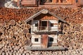 Sauris - Wooden model house covered by sorted firewood in remote alpine village of Sauris di Sotto