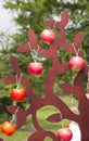 Wooden model of a tree with apples