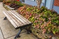 Wooden modern bench in park. Outdoor chair, urban public furniture, empty plank seat, comfortable bench Royalty Free Stock Photo