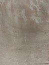 Wooden moldy board texture or background Royalty Free Stock Photo