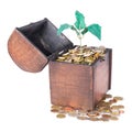 Wooden money chest filled with coins and a money tree Royalty Free Stock Photo