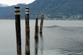 Wooden mooring pillars or pylons with metal top installed in the water Maggiore in Locarno.