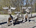 Wooden Moose Sculptures