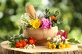 Wooden mortar, pestle and different flowers on stump outdoors Royalty Free Stock Photo