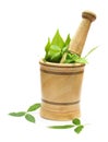 Wooden mortar-pestle and herbs Royalty Free Stock Photo