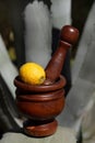 A wooden mortar with a pestle and a lemon on the leaves of an agave in portrait format