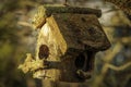 Wooden moss covered bird house