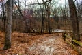 Fence in a Forest on a Trail during Winter at Suburban Willow Springs Royalty Free Stock Photo