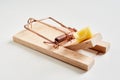 Wooden mousetrap with cheese in close-up Royalty Free Stock Photo