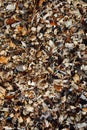 Wooden mulch background