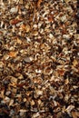 Wooden mulch background