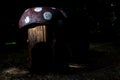 Wooden mushroom at night Royalty Free Stock Photo