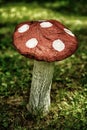 Wooden mushroom on the lawn Royalty Free Stock Photo