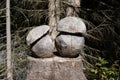 Wooden mushrooms