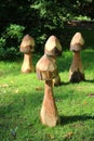 Wooden Mushrooms Royalty Free Stock Photo