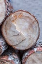 Wooden natural sawn logs