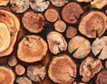Wooden natural sawn logs closeup for background, top view