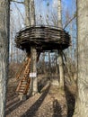 Wooden nest, wooden greenhouse in a protected landscape area